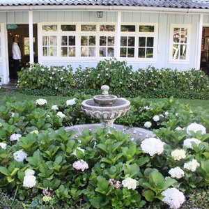 Panamonte Inn01